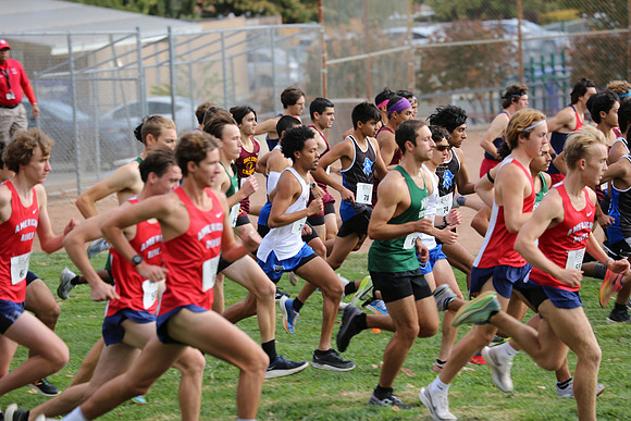 MV1_2311