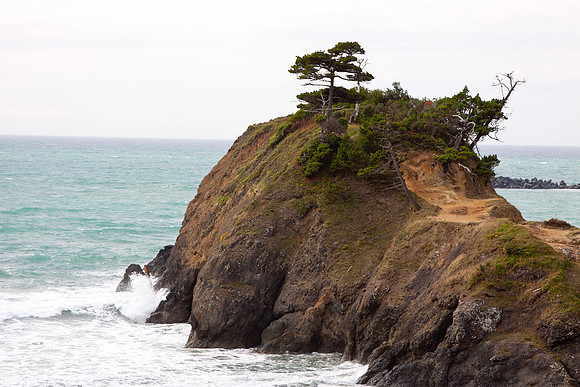 Oregon Coast - October 2010