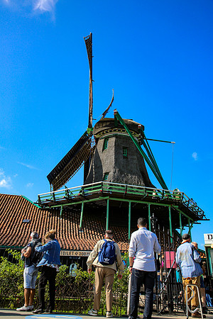 MV1_0101
