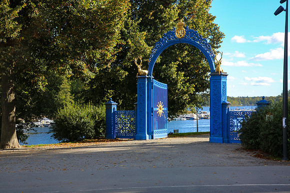 MV1_0864