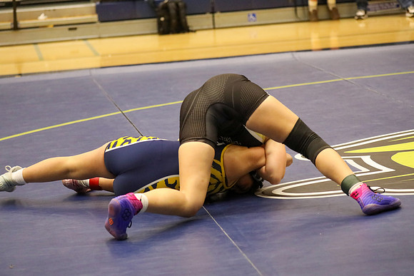 MV2_8772