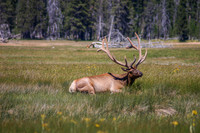 IMG_0176