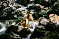 IMG_4722A