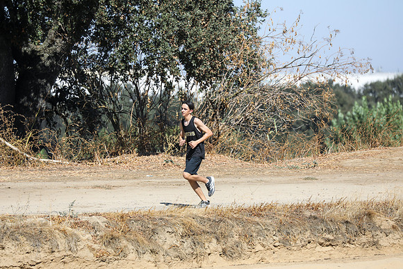 0136-MV2_3378