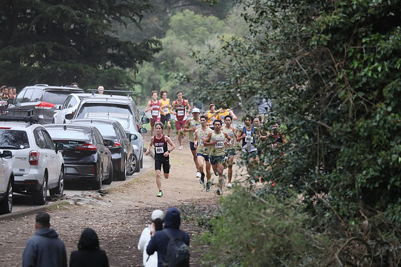 0181_MV2_4787