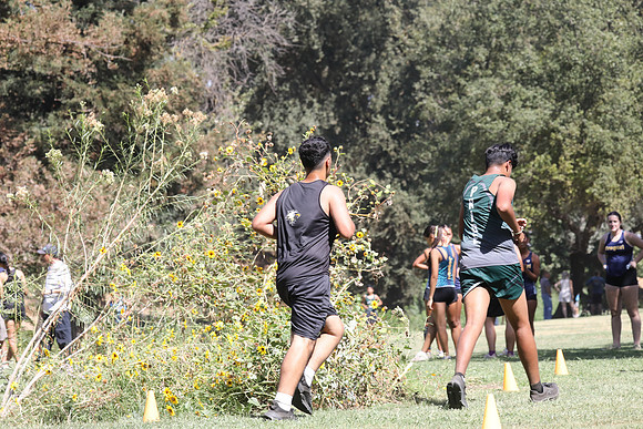0098-MV2_0447