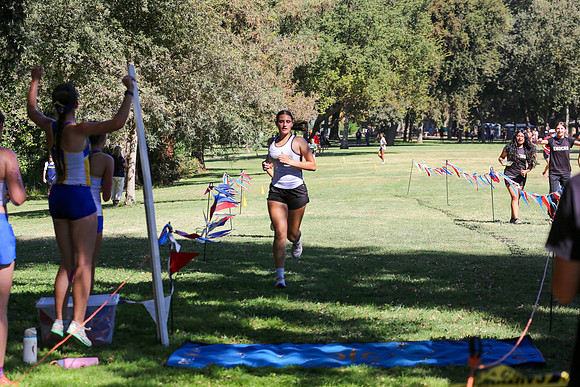 0368-MV1_0394