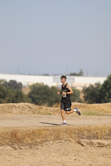 MV2_0081