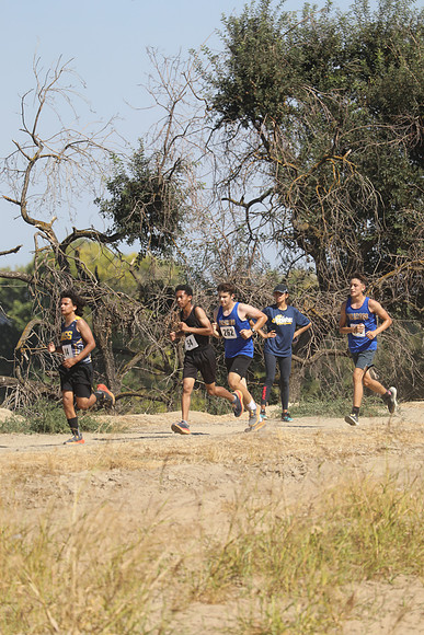 MV2_0105