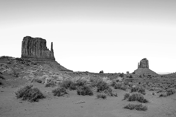 MV2_0085BW
