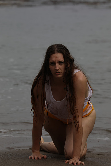 MV2_2263