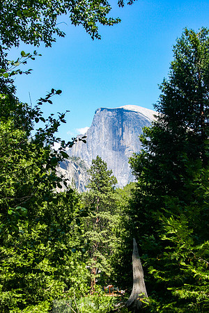 IMG_4771A