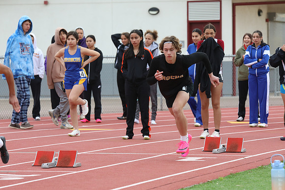 MV2_1033