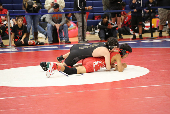 MV1_4145