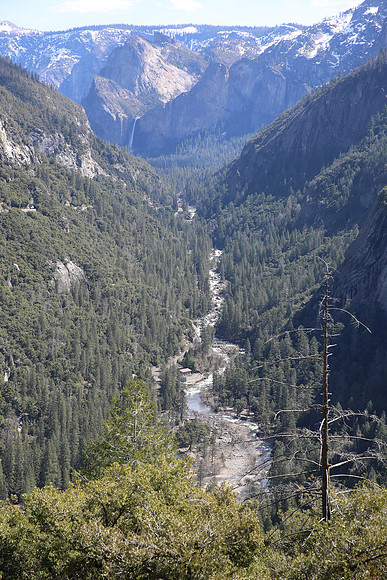 MV1_0005