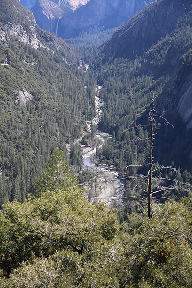 MV1_0008