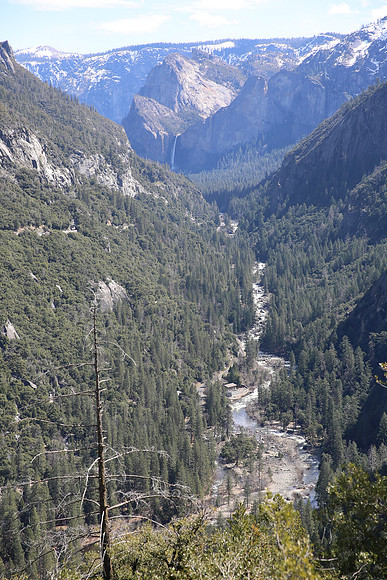 MV1_0011