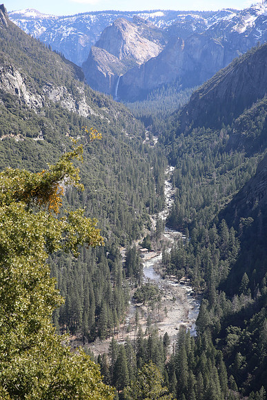 MV1_0015