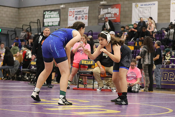 MV2_0541