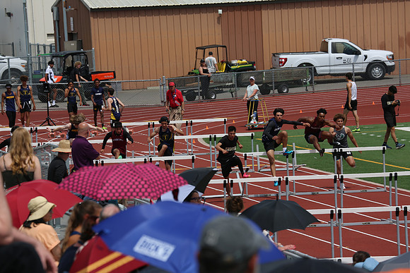 MV1_1428