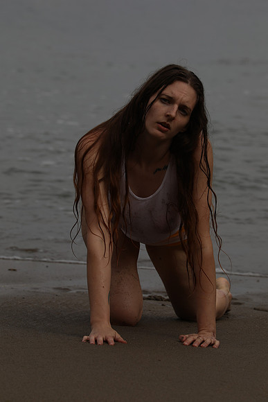 MV2_2271