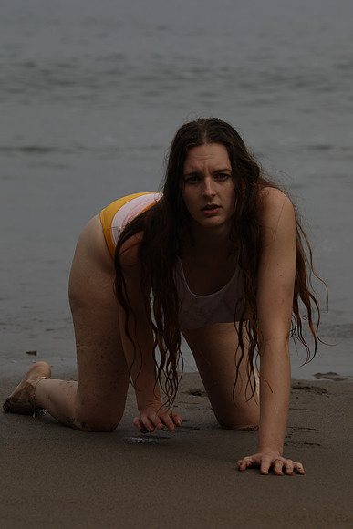 MV2_2277