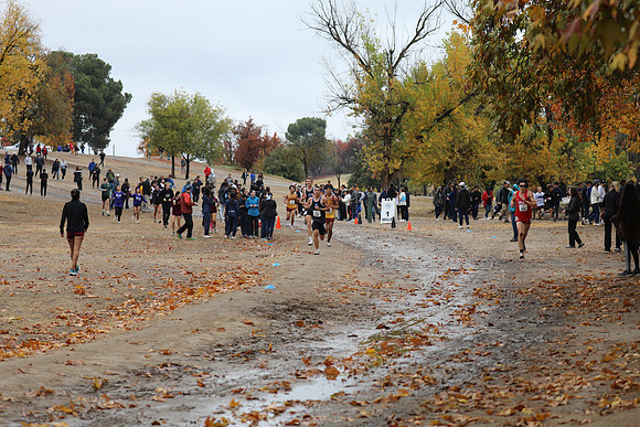 MV2_1569