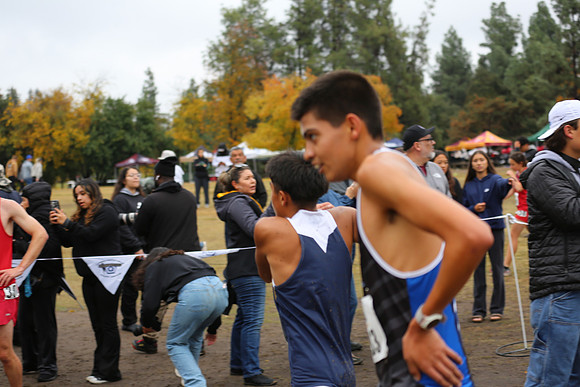 MV1_2992