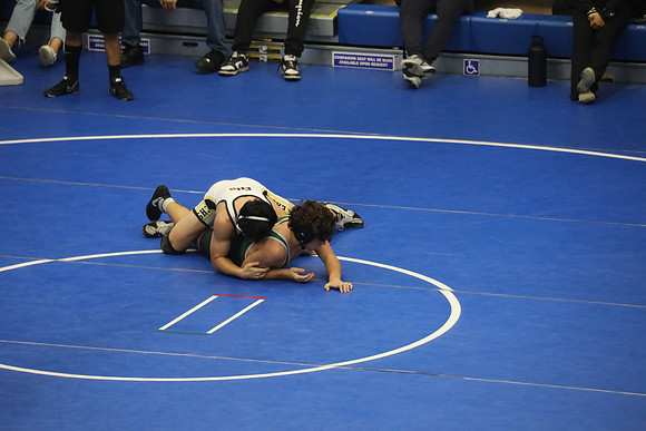 MV2_0995