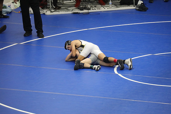 MV2_0268
